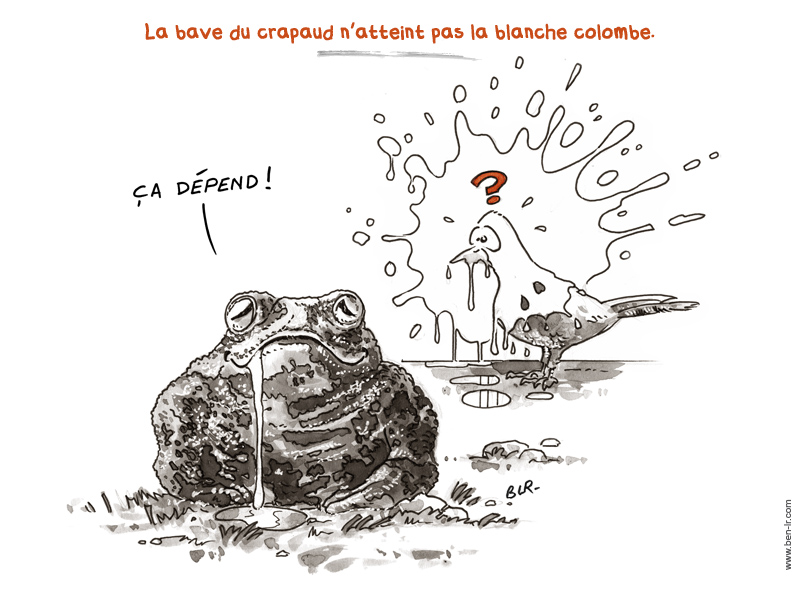 Expr-Bave_Crapaud_Colombe_800pt-2.jpg