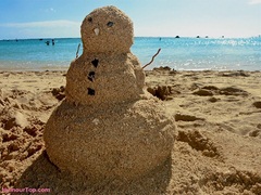 Florida_snowman.thumb.jpg