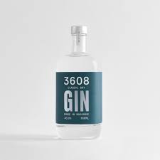 gin3608.jpeg