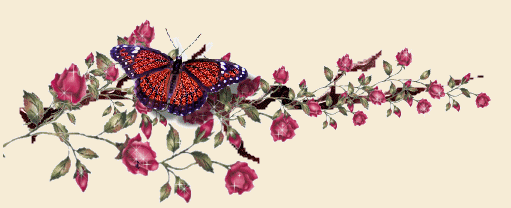 guirlange papillon.png